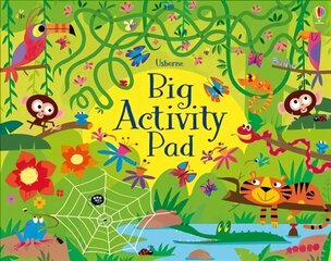 Big Activity Pad cena un informācija | Grāmatas mazuļiem | 220.lv