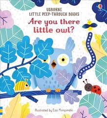 Are you there little Owl? цена и информация | Книги для малышей | 220.lv