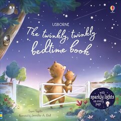 Twinkly Twinkly Bedtime Book цена и информация | Книги для малышей | 220.lv