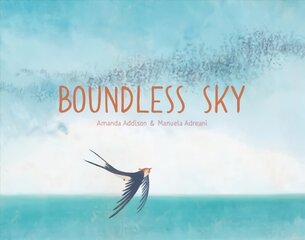 Boundless Sky цена и информация | Книги для малышей | 220.lv