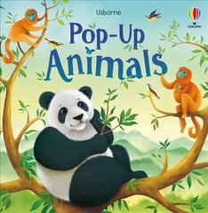 Pop-Up Animals цена и информация | Книги для малышей | 220.lv