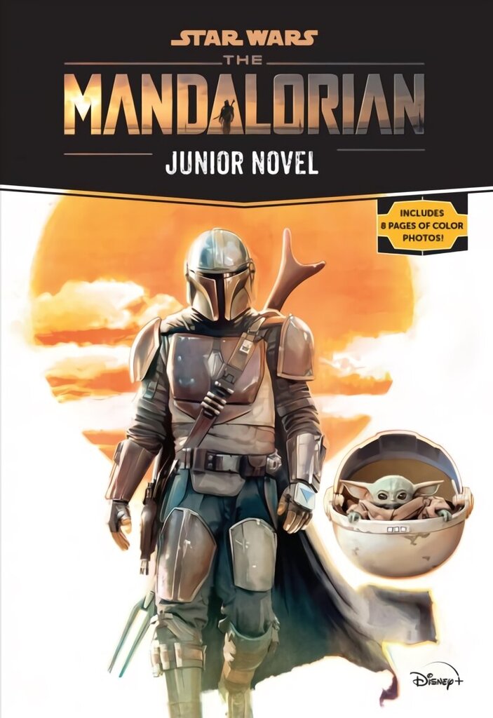 Star Wars: The Mandalorian Junior Novel цена и информация | Grāmatas pusaudžiem un jauniešiem | 220.lv