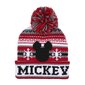 Mickey Mouse ziemas cepure cena un informācija | Cepures, cimdi, šalles zēniem | 220.lv