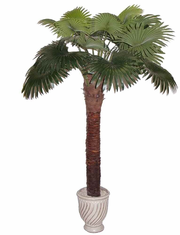 Mākslīgais koks Palma 200cm cena un informācija | Mākslīgie ziedi | 220.lv