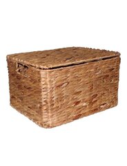 Коробка 40x31xH22 см цена и информация | Ящики для вещей | 220.lv