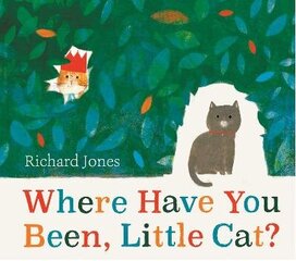 Where Have You Been, Little Cat? цена и информация | Книги для малышей | 220.lv