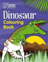 Dinosaur Colouring Book cena un informācija | Grāmatas mazuļiem | 220.lv