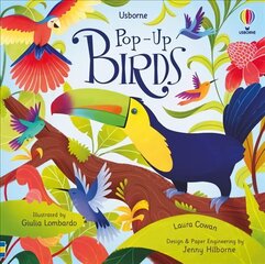Pop-Up Birds cena un informācija | Grāmatas mazuļiem | 220.lv