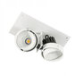 Griestu lampa Italux Patrizio GL7118-2/2X12W4000KWH+BL cena un informācija | Griestu lampas | 220.lv