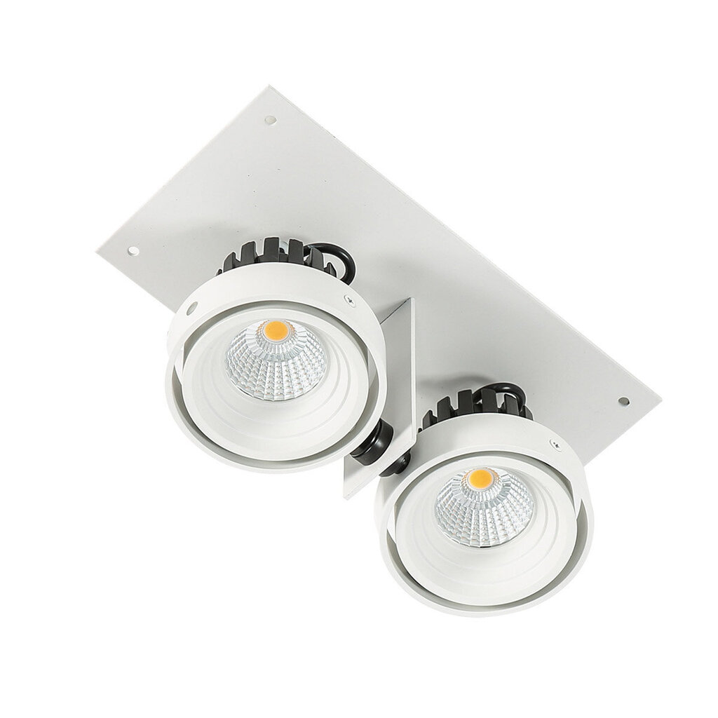 Griestu lampa Italux Patrizio GL7118-2/2X12W цена и информация | Griestu lampas | 220.lv