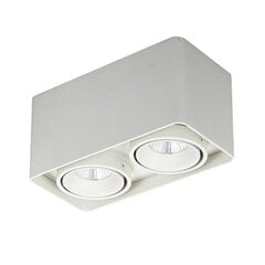 Griestu lampa Italux Bonnie SLC78005/20WWH cena un informācija | Griestu lampas | 220.lv