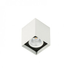 Griestu lampa Italux Alden SLC78002/12W цена и информация | Потолочные светильники | 220.lv