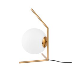 Настольная лампа Italux Mondo MTE2104/1 цена и информация | Настольные светильники | 220.lv