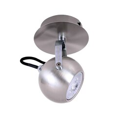 Griestu lampa Italux Nicola FH5951BJ-80SN cena un informācija | Griestu lampas | 220.lv