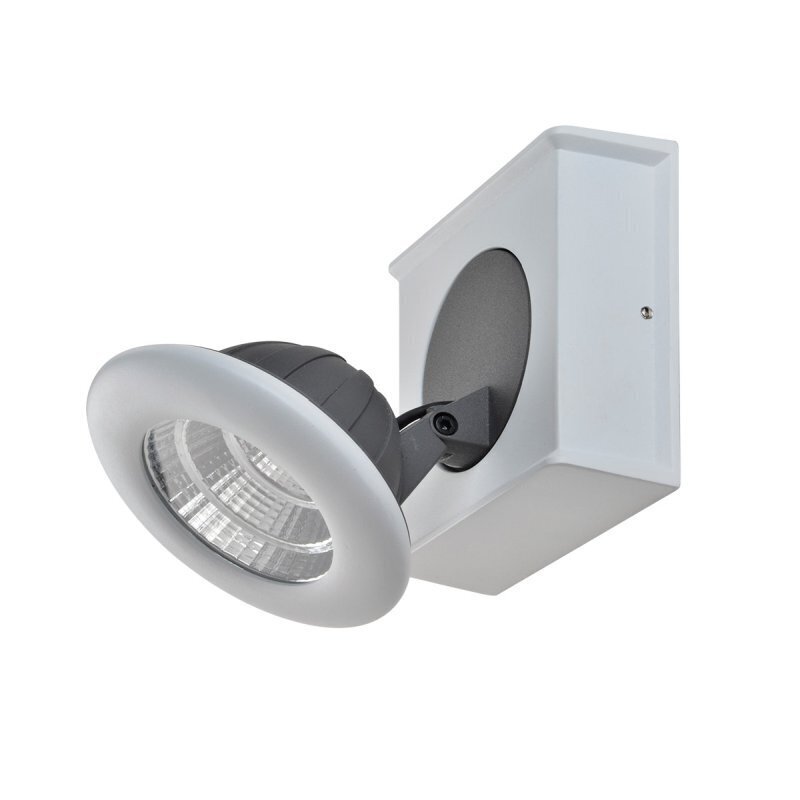 Griestu lampa Italux Catalina FH31781A13 цена и информация | Griestu lampas | 220.lv