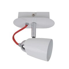 Griestu lampa Italux Kayla FH30901AJ13 cena un informācija | Griestu lampas | 220.lv