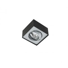 Griestu lampa Italux Lauren FH30531S цена и информация | Потолочные светильники | 220.lv