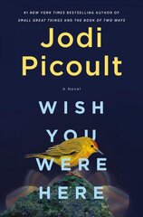 Wish You Were Here: A Novel цена и информация | Фантастика, фэнтези | 220.lv