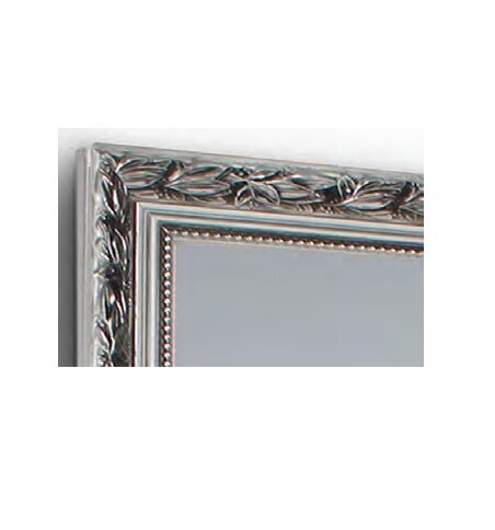 Spogulis Sonja 50 x 150 cm titāna cena un informācija | Spoguļi | 220.lv
