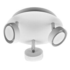 Griestu lampa Italux Alexa HP-918BM-03-8989BM цена и информация | Потолочные светильники | 220.lv