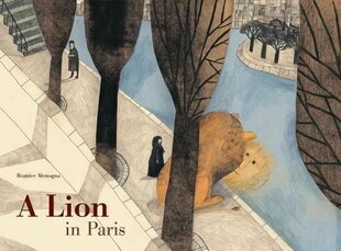 Lion in Paris цена и информация | Книги для самых маленьких | 220.lv