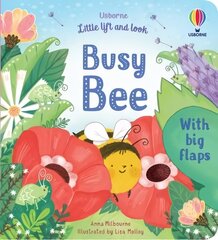 Little Lift and Look Busy Bee цена и информация | Книги для малышей | 220.lv