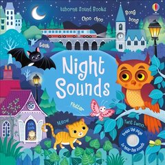 Night Sounds цена и информация | Книги для малышей | 220.lv