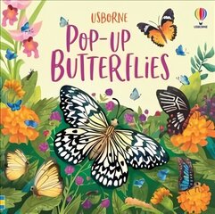 Pop-Up Butterflies cena un informācija | Grāmatas mazuļiem | 220.lv