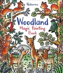 Woodland Magic Painting Book цена и информация | Книги для малышей | 220.lv