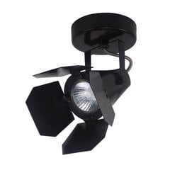 Потолочный светильник Italux Milton FH30921B цена и информация | Потолочные светильники | 220.lv