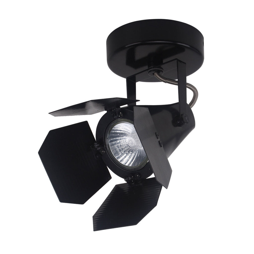 Griestu lampa Italux Milton FH30921B cena un informācija | Griestu lampas | 220.lv