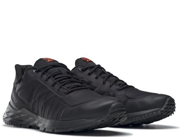 Astroride trail gtx reebok vīriešiem black gw7011 GW7011 cena un informācija | Sporta apavi vīriešiem | 220.lv