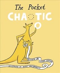 Pocket Chaotic cena un informācija | Grāmatas mazuļiem | 220.lv