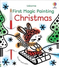 First Magic Painting Christmas цена и информация | Книги для малышей | 220.lv