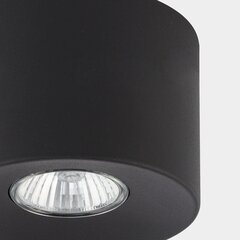 Griestu lampa TK Lighting Orion 3236 цена и информация | Потолочные светильники | 220.lv