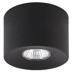 Griestu lampa TK Lighting Orion 3236 цена и информация | Потолочные светильники | 220.lv