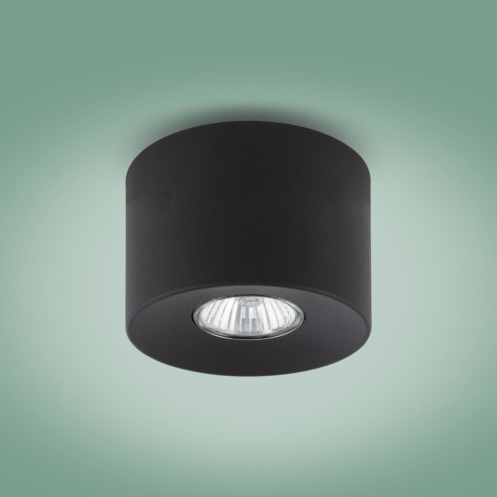 Griestu lampa TK Lighting Orion 3236 cena un informācija | Griestu lampas | 220.lv