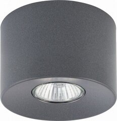 Griestu lampa TK Lighting Orion 3235 cena un informācija | Griestu lampas | 220.lv