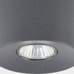 Griestu lampa TK Lighting Orion 3235 цена и информация | Потолочные светильники | 220.lv