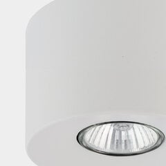 Griestu lampa TK Lighting Orion 3234 цена и информация | Потолочные светильники | 220.lv