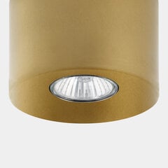 Griestu lampa TK Lighting Orion 3199 цена и информация | Потолочные светильники | 220.lv