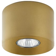 Griestu lampa TK Lighting Orion 3199 цена и информация | Потолочные светильники | 220.lv