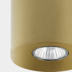 Griestu lampa TK Lighting Orion 3198 cena un informācija | Griestu lampas | 220.lv