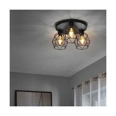 Griestu lampa TK Lighting Galaxy 3189 цена и информация | Потолочные светильники | 220.lv