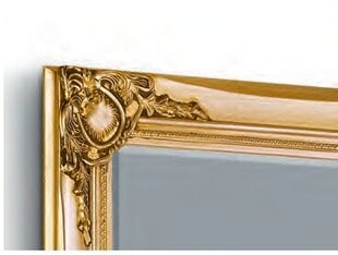 Spogulis Elsa 70 x 170 cm zelta cena un informācija | Spoguļi | 220.lv