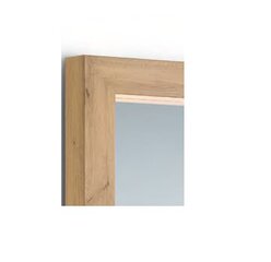 Spogulis Johanna 60 x 160 cm ozols cena un informācija | Spoguļi | 220.lv