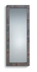 Зеркало Johanna, 60 х 160 см, рустикальное цена и информация | Зеркальца | 220.lv