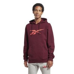 RI FLEECE HOOD REEBOK  for Men's Red HS0044 HS0044 цена и информация | Мужские толстовки | 220.lv