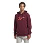 Ri fleece hood reebok vīriešiem red hs0044 HS0044 cena un informācija | Vīriešu jakas | 220.lv