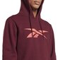 Ri fleece hood reebok vīriešiem red hs0044 HS0044 cena un informācija | Vīriešu jakas | 220.lv